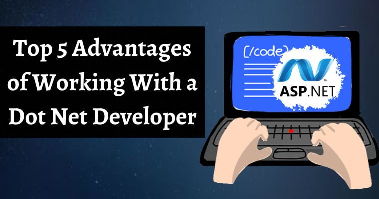top 5 advantages of working with a dot net developer
